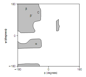 2442_Peptide bond 2.png